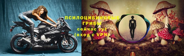 mdpv Армянск