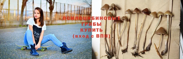 молекула духа Аркадак