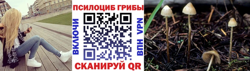 Псилоцибиновые грибы прущие грибы  где можно купить наркотик  Омутнинск 